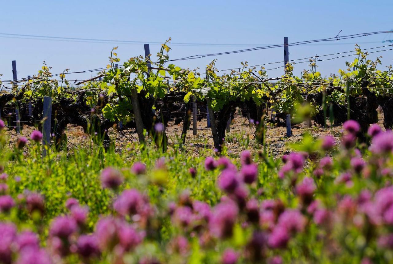 ホテル Domaine De Ludeye Listrac-Médoc エクステリア 写真