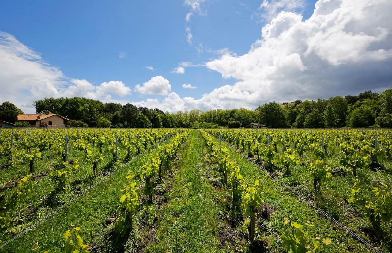 ホテル Domaine De Ludeye Listrac-Médoc エクステリア 写真